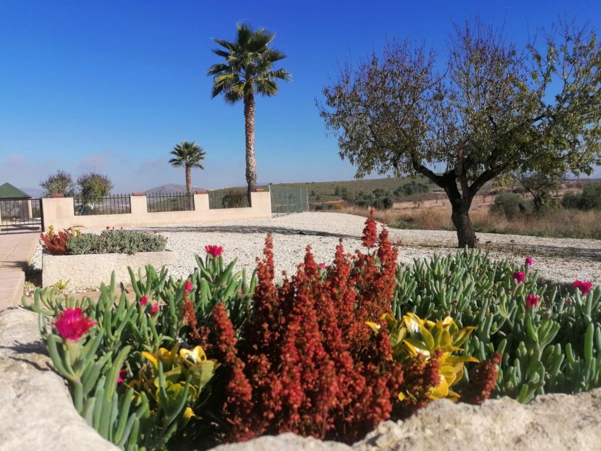 Finca Guillermo Murcia Canada del Trigo Dış mekan fotoğraf