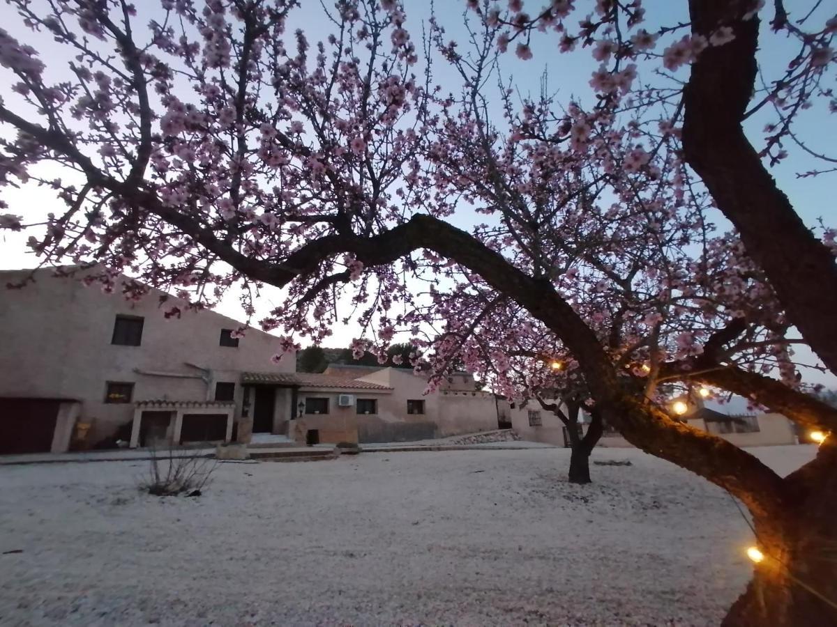 Finca Guillermo Murcia Canada del Trigo Dış mekan fotoğraf