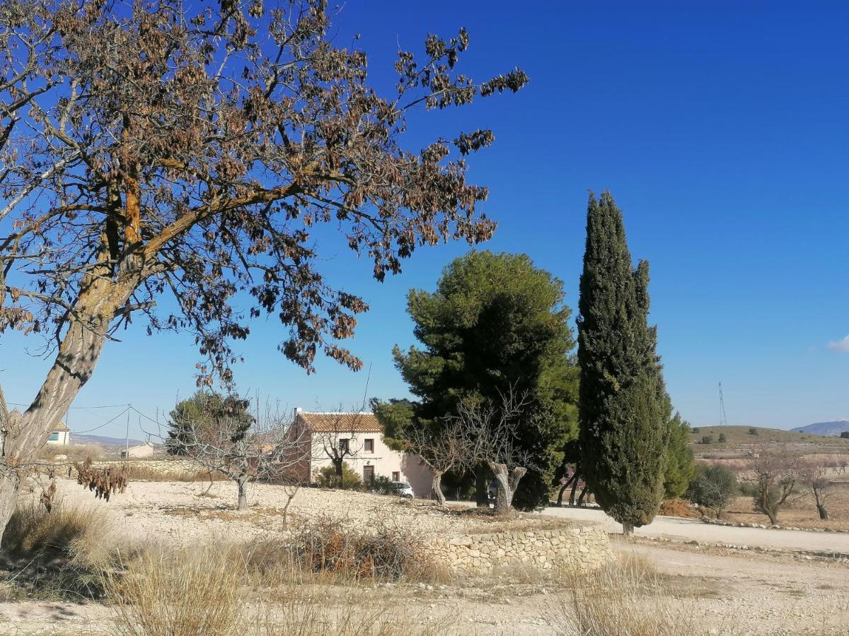 Finca Guillermo Murcia Canada del Trigo Dış mekan fotoğraf